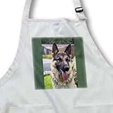 Dogs German Shepherd - German Shepherd Portrait - Aprons