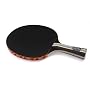 Stiga Titan Table Tennis Racket