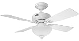 Hunter Ceiling Fans 23943 Ashlyn Fan - White with Light Kit Indoor Fan 42 White Blades