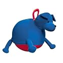 Charm 'Dandy' Dog Hopper Ball - Blue