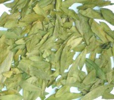 Senna Leaf