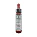 Original Bach Flower Remedy 10ml - HORNBEAM