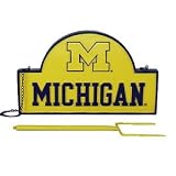 15X9 Estate Mailbox Michigan Wolverines