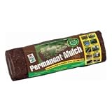 This item last updated: Nov 08, 2010