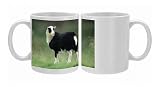 Jacobs Sheep - lamb on meadow Photo Mugs