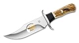 WBC Bear Claw Bowie