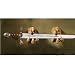 Mystic Dragon gothic Talons Wall holders medieval Sculptures tallons