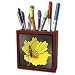 Lee Hiller Photography Hot Springs National Park Wildflowers - Wildflower Lance Leaf Coreopsis - Tile Pen Holders-5 inch tile pen holder