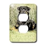 Dogs Rottweiler - Rottweiler - Light Switch Covers - 2 plug outlet cover