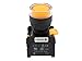 Alpinetech LXG-22 22mm 1NO Momentary Push Button Switch 110V LED Illuminated (Yellow)