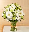 Flowers by 1800Flowers - Serene Green - Medium