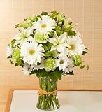 Flowers by 1800Flowers - Serene Green - Medium