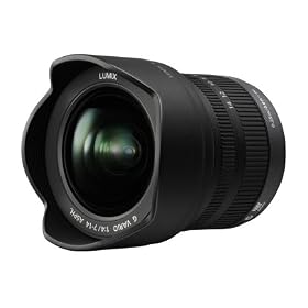 Panasonic 7-14mm f 4.0 Micro Four Thirds Lens for Panasonic Digital SLR Cameras by Panasonic