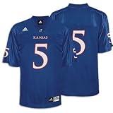 Reebok Minnesota Vikings Brett Favre Replica Team Color Jersey