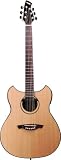 Wechter Model 3135L-3PU Deluxe Pathmaker Guitar
