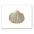 Seashell Embossed - Gift Enclosure Cards (set of 12)