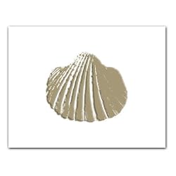 Seashell Embossed - Gift Enclosure Cards (set of 12)