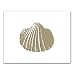 Seashell Embossed - Gift Enclosure Cards (set of 12)