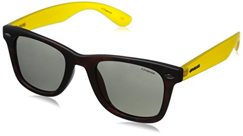 Polaroid Sunglasses Women's P8400S Polarized Wayfarer Sunglasses