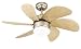 Westinghouse 7814420 Turbo Swirl One-Light 30-Inch Six-Blade Ceiling Fan, Brushed Aluminum with Frosted Globe