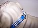 Kitchen & Housewares : Heidi Vinyl Dog Collar 10in Blue 94P
