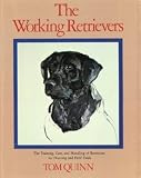 Working Retrievers: 2