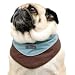 Kyjen Cool-it Bandanas - MEDIUM