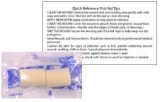 American Dream Brigade Disposable Ear Plugs in Vinyl Wallet 16902-2, 3 Count