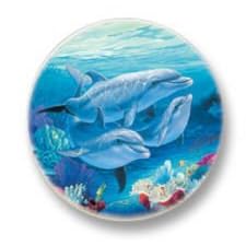 Terracoasters Dolphin Lovers Aqua Stone Coasters Set 4 by TerraCoasters