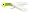 Chartreuse/Chartreuse/White
