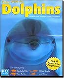 Swim With The Dolphins Screensaver