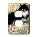 Dogs Pomeranian - Black and Tan Pomeranian - Light Switch Covers - 2 plug outlet cover