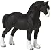 Shire Horse