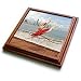 Kike Calvo Dance - Ballerina dances and leaps next to the Pacific Ocean, with the city of Panama on tha background - Trivets