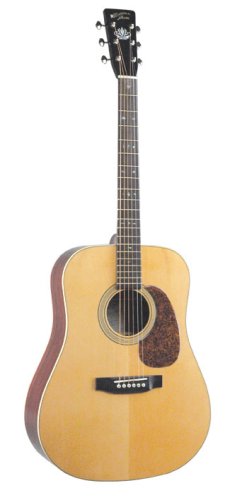 Recording King Classic Series II Dreadnought Acoustic Guitar