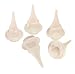 Price Comparison : FastCap Glu-Bot Yorker Tips, 5 pack