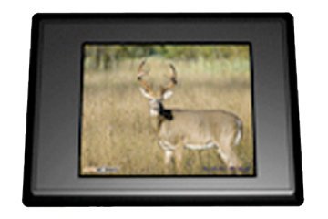 New Gg Telecom Spypoint Picture Viewer 2.5 Screen Rca Cable Allows View Erase Photos Videos