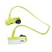 Sony NWZ-W 202  MP3-Player 2 GB (Zappin-Musiksuchmethod, USB 2.0) gr�n