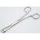 SteelNavel.com