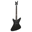 Electric Guitar