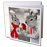 Doreen Erhardt Love and Romance - Squirrel Couple in Love with Red Rose Black and White Photograph - Greeting Cards-6 Greeting Cards with envelopes