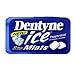 Dentyne Ice Mints Sugarless Peppermint - 50 Ea / Pack, 9 Packs