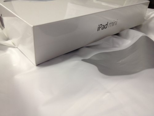 iPad mini with Wi-fi 16gb - Black & Slate