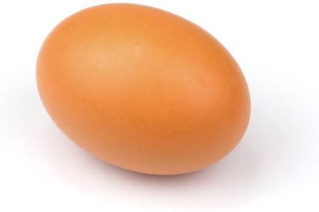 Amcctvshop 1pc Brown Funny Wooden Simulation Eggs Toy Food Props Trick for Kids Children