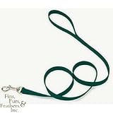 Coastal Pet Nylon Dog Leash / Lead (Hunter Green, 4 ft. L x 5/8 inch W)