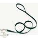 Coastal Pet Nylon Dog Leash / Lead (Hunter Green, 4 ft. L x 5/8 inch W)