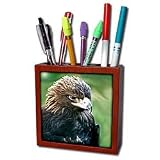 Birds - Golden Eagle - Tile Pen Holders-5 inch tile pen holder