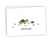 Sugartown Greetings The Turtle & The Snail Nature Thank You Cards - 24 Cards & Envelopes