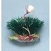 Flowering Breeding Grass - 3 1/2 in.
