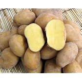 北海道じゃがいも「インカのめざめ」10ｋｇ